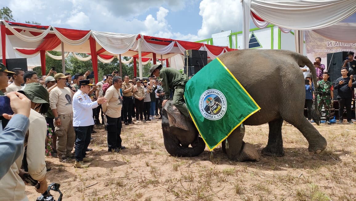 Gubernur Jambi Al Haris saat meresmikan pusat informasi konservasi gajah Tebo. Foto: Riky Serampas/Pariwarajambi