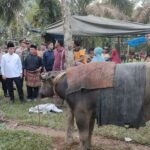 Gubernur Jambi Al Haris saat menghadiri bantai adat di Tabir. Foto: Riky Serampas/Pariwarajambi