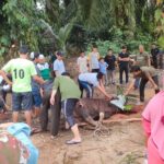 Ilustrasi kurban. Foto: Riky Serampas/Pariwarajambi