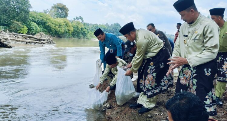 Gubernur Jambi Al Haris bersama Bupati dan Wakil Bupati Bungo, Mashuri dan Safrudin Dwi Aprianto menebar ribuan benih ikan di sungai Batang Tebo, Bungo. Foto: Riky Serampas/Pariwarajambi